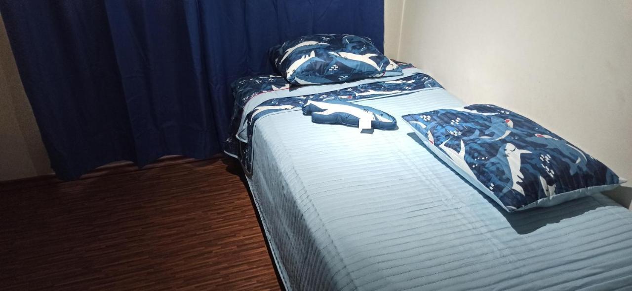 Hotel Carmen Berfin Santiago de Chile Zewnętrze zdjęcie